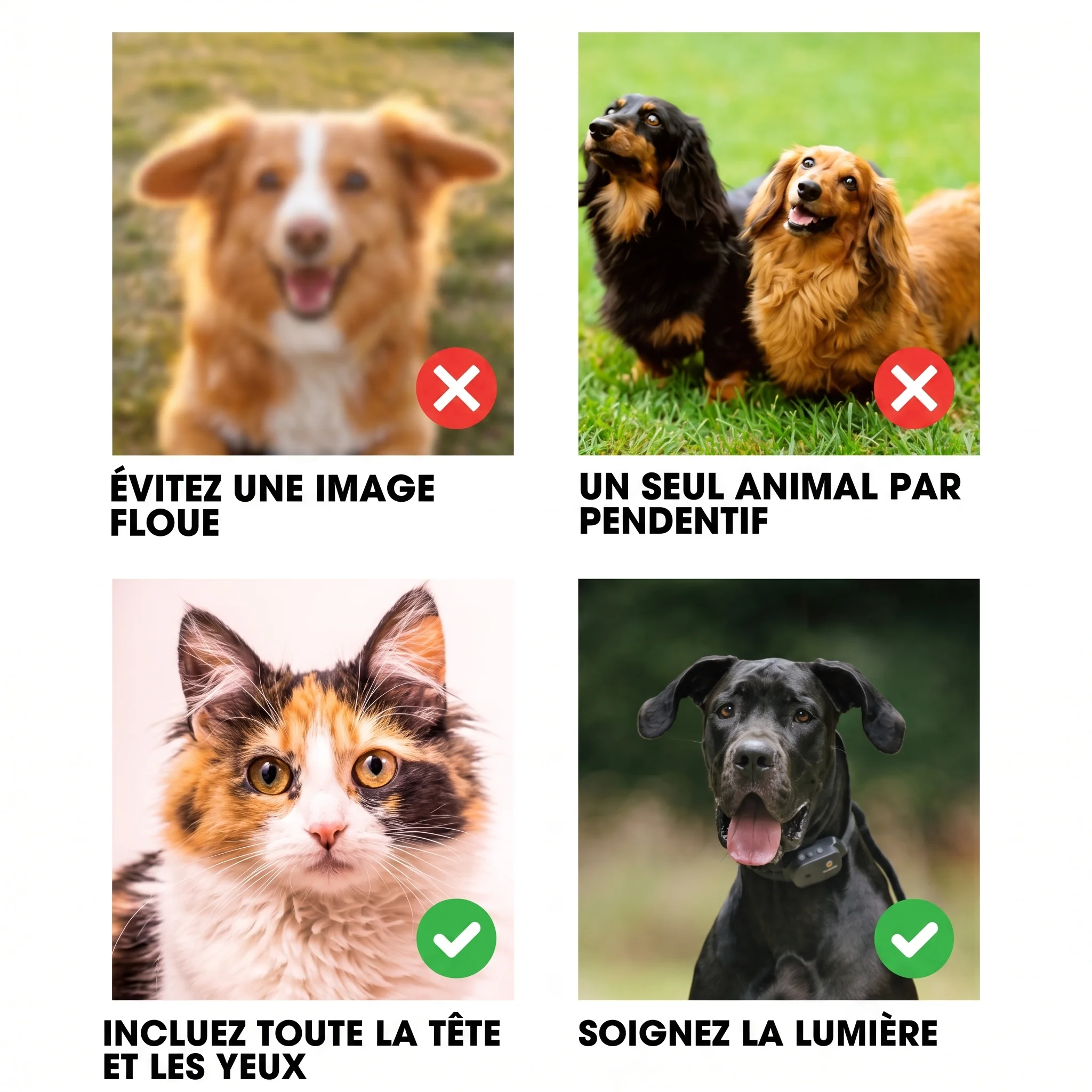 Guide photo : exemples de bonnes et mauvaises photos