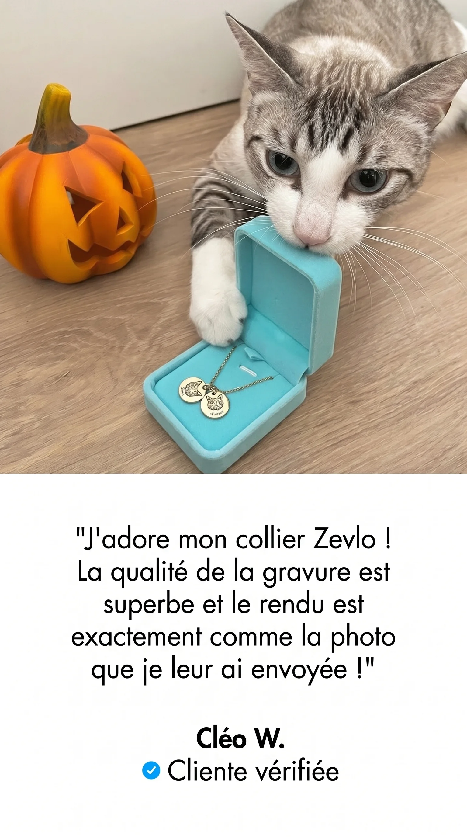 Histoire vraie d'une propriétaire d'animal Zevlo