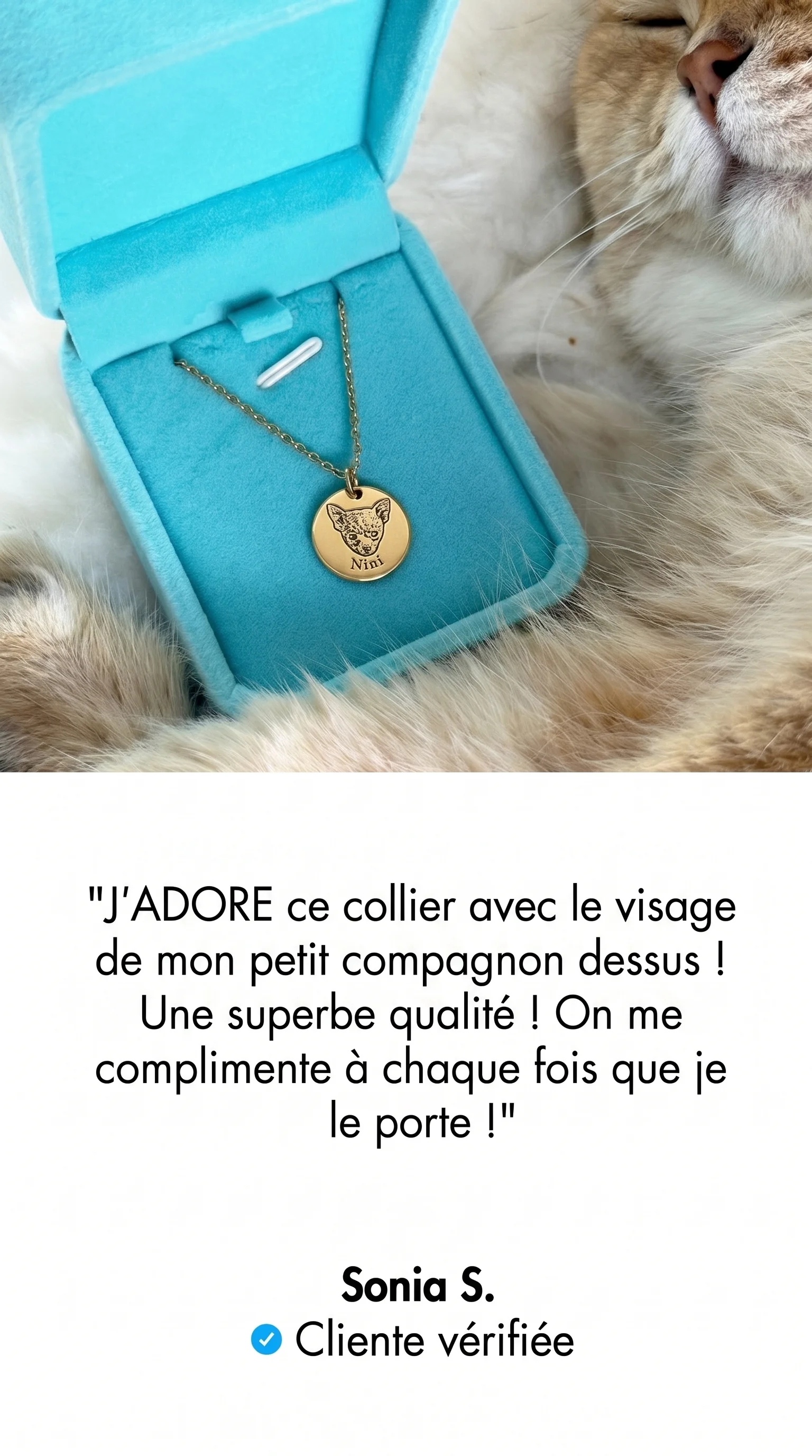 Histoire vraie d'une propriétaire d'animal Zevlo
